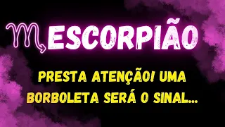 ♏️ESCORPIÃO🦋PRESTA ATENÇÃO! UMA BORBOLETA SERÁ O SINAL...