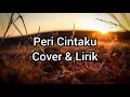Download Lagu Peri Cintaku - Cover By Fadhilah Intan