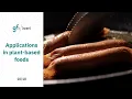 Applications in plant-based foods - applications of methylcellulose across plant-based products
