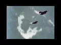 Fennec - Frontier Identity Free Us Of This Feeling