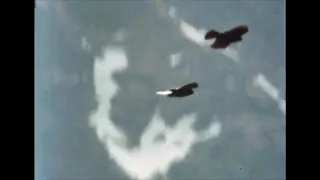 Fennec - Frontier Identity Free Us Of This Feeling