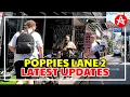 Download Lagu THIS IS POPPIES LANE 2 NOW || Latest Updates Poppies Lane Kuta