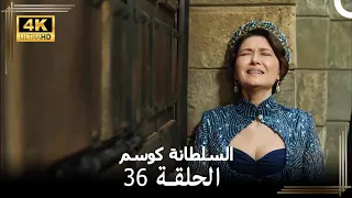 حريم السلطان كوسيم من جديد الحلقة 36 4K 