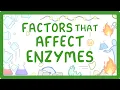 GCSE Biology - Enzymes
