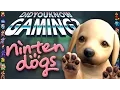 Nintendogs - Did You Know Gaming Feat Sunder