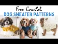 30 FREE Crochet Dog Sweater Patterns DIY Dog Clothes