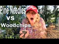 Gardening Ideas for Home Garden Pine Needles for Mulch or Composting Making Soil Container Garden