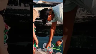 Step inside an ancient Cornish fishing village with us #shorts #newvideo