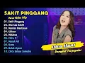Download Lagu Diva Hani - SAKIT PINGGANG - AKU KAU SAKITI || DANGDUT TERPOPULER 2025