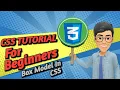 CSS Box Model Explained Margin Padding Border Height Width Shorthand