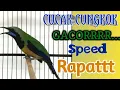 Download Lagu SUARA CUNGKOK GACOR..FULL TEMBAKAN SPEED RAPAT, COCOK BUAT MASTERAN[] 100% AMPUH