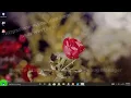Windows 10 Home How to Start or Stop Machine Debug Manager Service