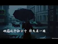 幾許風雨  (羅文版本)(粵語)(卡拉OK伴奏)(原調)