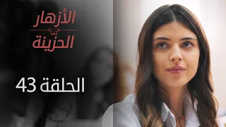 مسلسل الأزهار الحزينة الحلقة 43 الموسم الأول 
