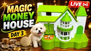 Dog Mini Bank House 🏡 Day 4 ! 😍  House Mystery! Tiny  Puppy Steal the Coins! || Day 3😍 LIVE