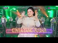 Download Lagu CINTA YANG PUDAR - Ninda Fahreza - OM ERAISA ( Live Record Studio )