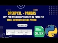 Excel Automation Tutorial - 20 Apply Filters Copy Data in Excel openpyxl Python Pandas