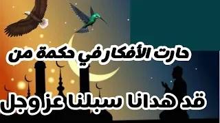 إنشاد رائع لقصيدة حارت الأفكار في حكمة من قد هدانا سبلنا عزو جول مدونة اوطاني للمعلوميات  إنشاد رائع لقصيدة حارت الأفكار في حكمة من قد هدانا سبلنا عزو جول مدونة اوطاني للمعلوميات