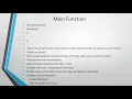 Embedded Systems Lab 4 The Main Function