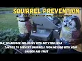 DOES OWL DECOY WITH ROTATING HEAD SCARE SQUIRRELS