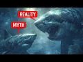 Download Lagu Megalodon Was Even Bigger Than We Feared - And the Ocean Still Hides Giants