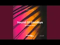 Download Lagu The Sound of Goodbye (Extended Mix)