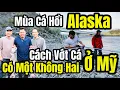 Download Lagu Cuộc Sống Mỹ - Cá Hồi Alaska - Vớt Cá Hồi Theo Cách Người Alaska - YouTuber Đầu Tiên Làm Điều Này