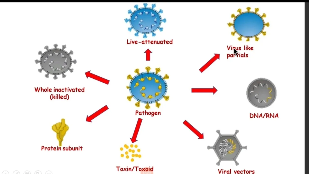 Immuno prophylaxis / Live Vaccine / Conjugate Vaccine / Immunology / Microbiology