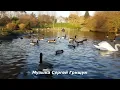 Download Lagu 🌿Музыка  Для  Души🌿 ОСЕННЯЯ СВЕЖЕСТЬ🌿 Музыка Сергей Грищук