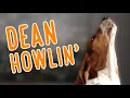 Dean HOWLIN 2020 Howling Compilation
