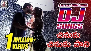 latest banjara dj songs chinuku chinuku pani dj song lalitha audios and videos