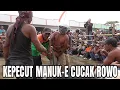 Download Lagu Wayang Tiban Kepecut MANUK-E CUCAK ROWO... Aduh Sakitnya Tuch Disini.... | Pasar Banggle, Kanigoro