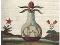 Download Lagu How to explore alchemical symbolism