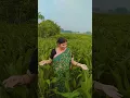Download Lagu tere nam ki dakan ho #song #bollywood #hindisong #bollywoodsongs #shortsviral