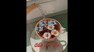 بدر الحبيش انا لو سهرت الليل 
