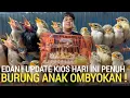 Download Lagu PASAR BURUNG ! HARGA DAN SETOCKNYA BIKIN NGILER 50RB CENDET ANAKAN BUAT YANG MAU MERAWAT YA😁