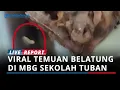 Download Lagu BREAKING NEWS - Viral Temuan Belatung di MBG Tuban, Ternyata Terjadi di 2 Sekolah Sekaligus