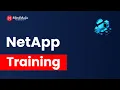 NetApp Basics What Is NetApp Storage NetApp Training MindMajix