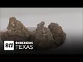 Texas judge temporarily blocks state ban on smokable hemp and THC products