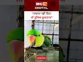 तोते ने दी टमाटर न देने पर Police बुलाने की धमकी... Viral Parrot Video | Talking Parro