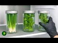 Lagu Peterselie en Lente-uitjes 365 Dagen Lang Vers (Niet Invriezen)! Het 5-Sterren Chef's Formule