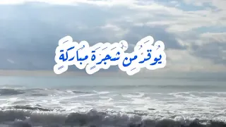 أية النور مكررة 66 مرة 