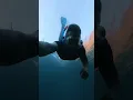Lagu How to swim and breathe underwater #freediving #snorkeling #scubadiving #underwaterlife
