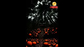 مهرجان شد سلاحك ابطال في الكام متر بتعهم طاهر الحسيني دويتو حالات واتس تيك توك 