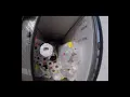 Shaw carpet load