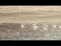 🎧𝐏𝐥𝐚𝐲𝐥𝐢𝐬𝐭｜바람에 물결에 얼결에 사랑에｜봄내음을 담은 따뜻&아련 국내 플리