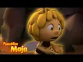 Lagu Maja i Wily w wielkim niebezpieczeństwie! - Pszczółka Maja🐝🍯🐝 - PEŁNA KOMPILACJA