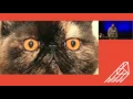 RubyConf AU 2017 - Defragging Ruby by Aaron Patterson