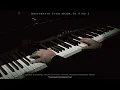 Chopin: 5 Calm Pieces 🎹 Nocturne Op. 9 No. 2, L'Adieu Waltz, Raindrop Prelude | Tranquil Streams