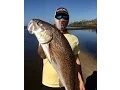 Crystal River - Perfect Tournament Redfish at Low Tide